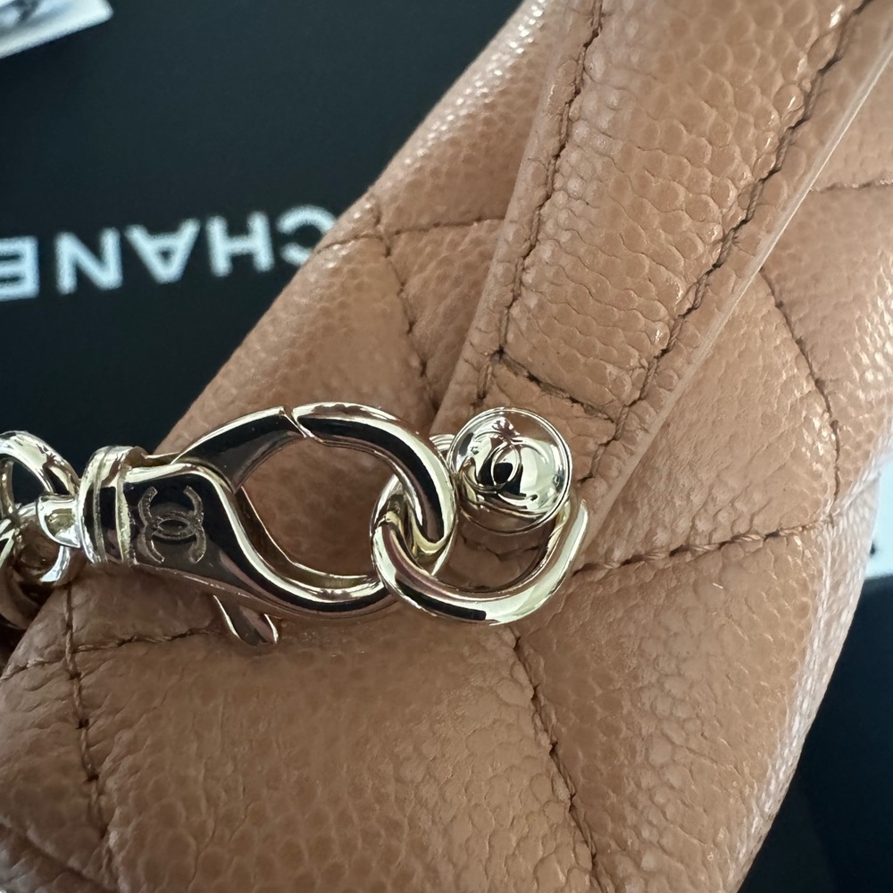 Chanel Dark Beige Quilted Vanity  Bag - Picture 4 of 10